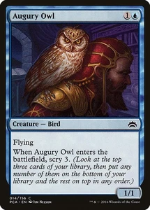 [MTG] Augury Owl (014) (PCA) LP-HP - Picture 1 of 1