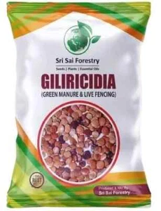 Gliricidia Sepium Tree Seebs 100 gram For Fodder Manure | Live Fencing - Picture 1 of 3