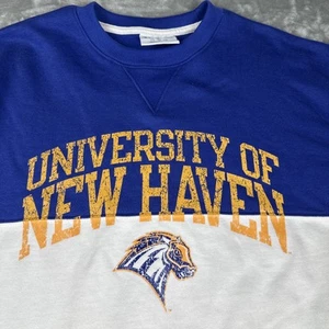 Vtg Champion Sweatshirt University of New Haven Size M Colorblock Oversized Soft - Picture 1 of 9