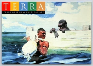 Postcard The Turtle Pound Art Winslow Homer Terra Museum of American Art Chicago - Picture 1 of 2