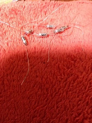 EVOX 6x Pcs Axial Polystyrene Capacitors 330pF 125v 5% VERY GOOD QUALITY UK SELLER