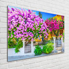 Tulup Glass Print Wall Art Image Picture 100x70cm - House with bougainvillea