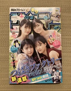 Weekly Shonen Sunday 2023 #46 Tsumiki Ogami's not so Ordinary Life Japanese Mag - Picture 1 of 12