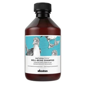 Davines Naturaltech WELLBEING SHAMPOO 8. 45 oz - Picture 1 of 1