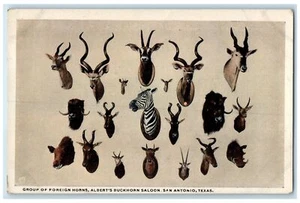 c1920's Group Of Foreign Horns Albert Buckhorn Saloon San Antonio TX Postcard - Picture 1 of 2