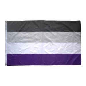 Bandera Arco Iris Orgullo LGBT Negro Gris Blanco Rayas LGBTQIA Reino Unido Asexual - Imagen 1 de 3