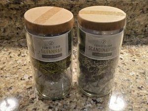 (2) Kits de tarros de cultivo hidropónicos MODERN FOREST FLOOR SPROUT NUEVO - Imagen 1 de 4