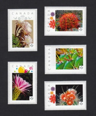 CACTUS FLOWERS -2 = Set of 5 Picture Postage Stamps MNH Canada 2015 [p15/2ct52] - Image 1 of 2