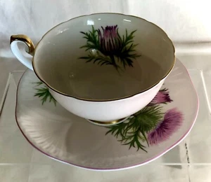 Shelley Thistle Dainty Shape Cup And Saucer - Picture 1 of 2