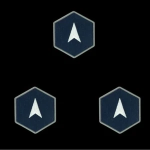 SPACE FORCE CHEVRON EMBROIDERED PATCH W HOOK L LOOP SPECIALIST PIN UP WOW - Picture 1 of 5