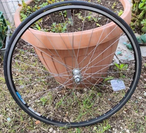 FRONT CLINCHER WHEEL RIGIDA CAMPAGNOLO RECORD HUB 36 HOLES PERFECT STATE RUOTA - Picture 1 of 17