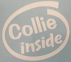COLLIE INSIDE DOG ON BOARD CAR WINDOW STICKER DECAL IN WHITE ALL COLOURS MADE - Picture 1 of 4