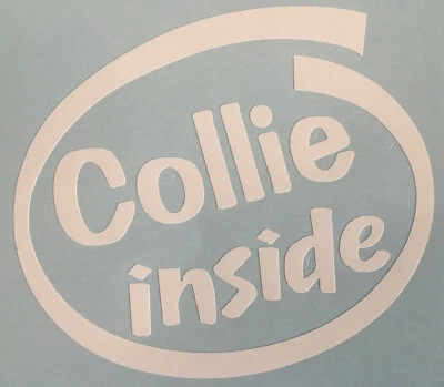 COLLIE INSIDE DOG ON BOARD CAR WINDOW STICKER DECAL IN WHITE ALL COLOURS MADE - Image 1 of 4