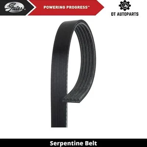 For 2002-2003 Mazda Protege5 2L L4 GAS Serpentine Belt For Power Steering Gates - Picture 1 of 5