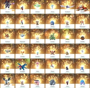 Pokemon 10x Mestieri Fortunati per Lv 49 Requisiti - Foto 1 di 1