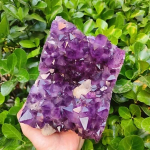 3000G Cristal Cuarzo de Roca Amatista Racimo Geoda Druzy Espécimen Sanación Reiki - Imagen 1 de 12
