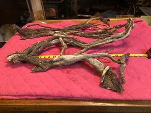 Twisted Tree Real Driftwood LOOK AT PICTURES - Picture 1 of 17