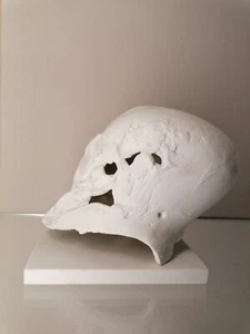 Goebel Porzellan Skulptur T. Duttenhoefer SCHÄDEL auf Platte limitiert 7 / 10 - Bild 1 von 13