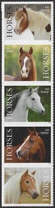 USA Sc. 5895b (F) Horses 2024 MNH strip of 5* - Picture 1 of 1