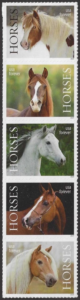USA Sc. 5895b (F) Horses 2024 MNH strip of 5* - Image 1 of 1