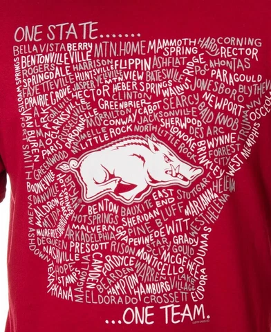 ARKANSAS RAZORBACKS ONE STATE ONE TEAM T-SHIRT Officially Licensed BRAND NEW Cover
