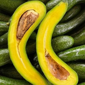 Aguacate Cuello Largo Planta Injertada Árbol Frutal Alto 20 Pulgadas - Imagen 1 de 12