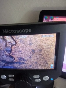 1984 LINCOLN CENT DDO-003, HAS THE MARKINGS OF DIE SCRATCHES, VARIETY VISTA, SEE - Picture 1 of 8