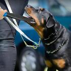 Professional Dog Sticks Safely Separates Crowbar For Police Dogs Option1