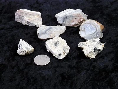 7 PIECE LOT Fossil AGATE Rough ROCK Stone NUGGETS 155gr Total Weight - Image 1 of 4