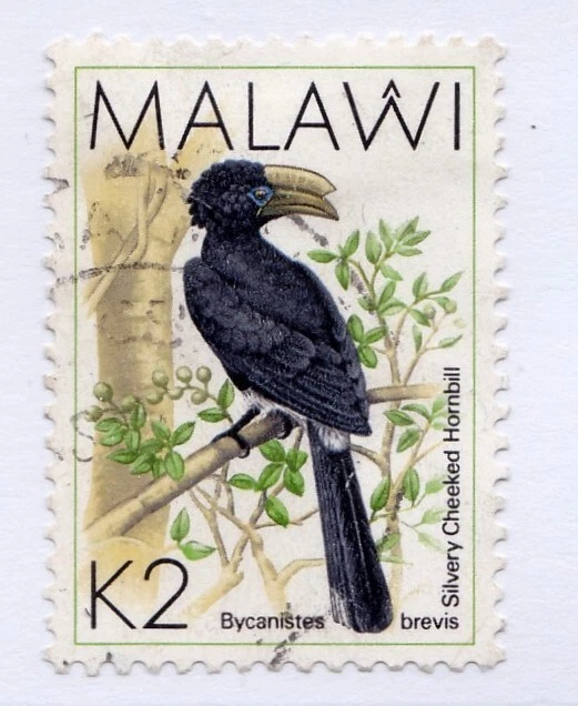 Malawi       531         used       Birds         - Image 1 of 1