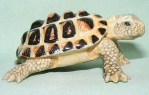 Figura de animal de porcelana en miniatura Klima cabeza de tortuga Hermann girada L764 - Imagen 1 de 1