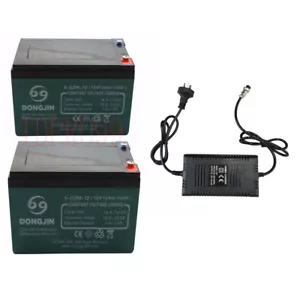 2 Pack 6-DZM-12 12V 12AH Battery + 24V Charger for Electric Bicycle E Bike Quad - Picture 1 of 9