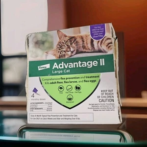 Advantage II Large Cat, Comprehensive Flea Prevention & Treatment Kills - Picture 1 of 2