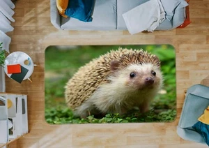3D Cute Hedgehog O3034 Animal Non Slip Rug Mat Elegant Photo Carpet Fay - Bild 1 von 5
