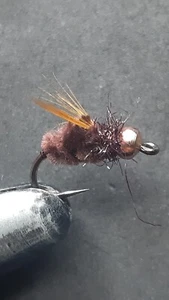 1 DOZEN  TUNGSTEN HEAD DARK BROWN NYMPHS FOR FLY FISHING-TUNG 303 - Picture 1 of 1