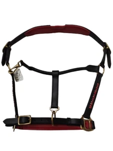 Leather Horse Anatomic Halter with Red Crystal & Red Padding With Brass Fitting. - Picture 1 of 9