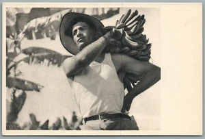 ISRAEL CHALUTZ CARRYING THE FRUITS VINTAGE POSTCARD Judaica J.BENOR-KALTER photo - Picture 1 of 2
