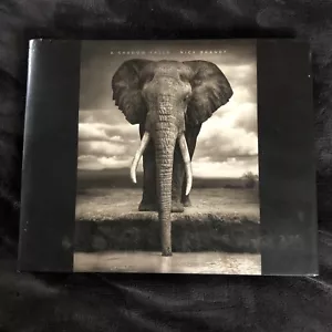 Nick Brandt A Shadow Falls Tritone Photographs Large Format Africa Animals HC DJ - Bild 1 von 8