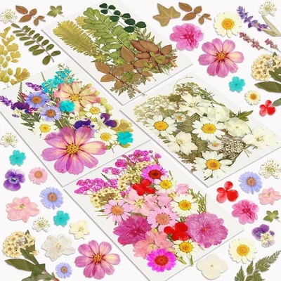 Dried Flowers, Resiners 100Pcs Pressed Flowers for Craft Blossom 100pcs  - Image 1 of 4