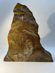 Atemberaubende stehende versteinerte Holzplatte 7,5" x 6,5"; fast 3 Pfund - Bild 1 von 24