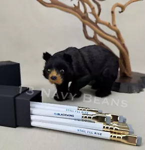 Blackwing "Still I'll Rise" California Wildfires Fundraiser Box of 12 Pencils - Picture 1 of 1