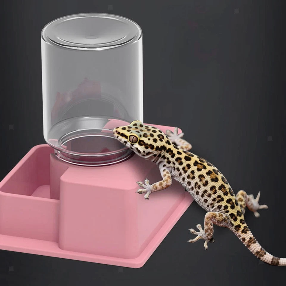 Alimentador automático de agua para reptiles accesorios de alimentación fácil de limpiar creativo Foto 1 de 1