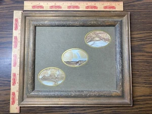 Framed Matted Natural Oregon Palomino Picture Rock Stone - Picture 1 of 8