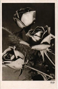 Antigua postal vintage flores rosas (1020) - Imagen 1 de 2