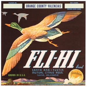 ORIGINAL ORANGE COUNTY KISTE ETIKETT FLY HI DUCK SANTA ANA TUSTIN 1930er - Bild 1 von 1