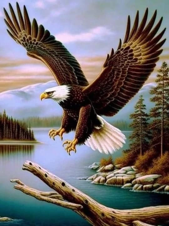 Art Kits for Adults Eagle, Diamond Painting Birds Animal, Full Drill Round - image 1 of 1