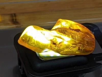 Amber Stone With One Insect Inside 1 Piece 9.03 Grams - Image 1 of 4