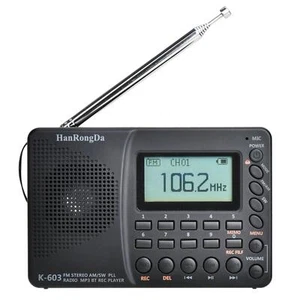 Bluetooth Digital Radio AM FM SW Pocket Radio Shortwave MP3 Player FM Speaker - Picture 1 of 7