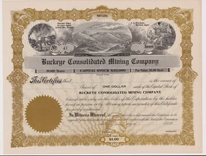 Buckeye Consolidated Mining Company Stock Certificate Carson City Nevada - Picture 1 of 1