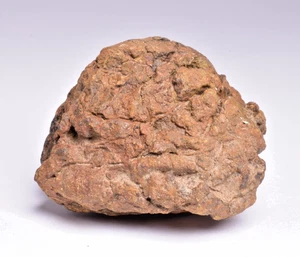 WOLF CREEK SHALE BALL METEORITE MT129 - Bild 1 von 7